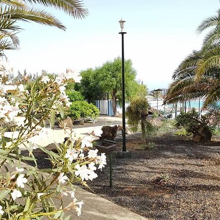 Appartement Bouganville Rez-De-Chaussee Wifi Costa De Antigua Kültér fotó