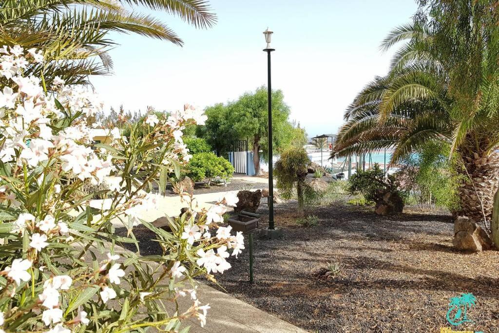 Appartement Bouganville Rez-De-Chaussee Wifi Costa De Antigua Kültér fotó